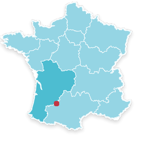 47310 Lamontjoie